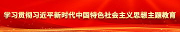 男生和女生艹的网站学习贯彻习近平新时代中国特色社会主义思想主题教育